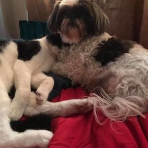 Meet your Posher, Mary